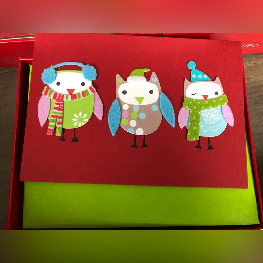 Handmade Papyrus Festive Owl Holiday Boxed Cards